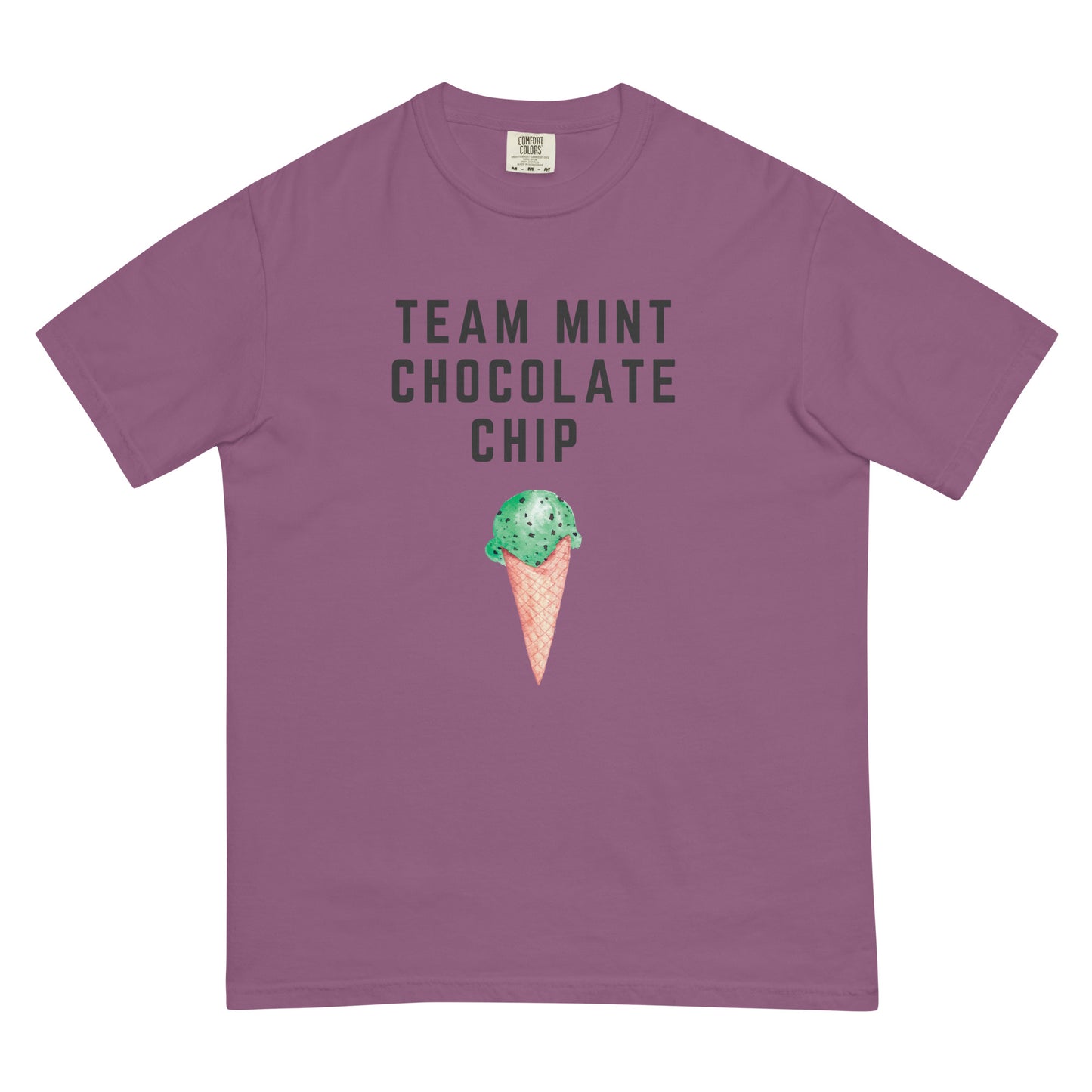 Team Mint Chocolate Chip t-shirt