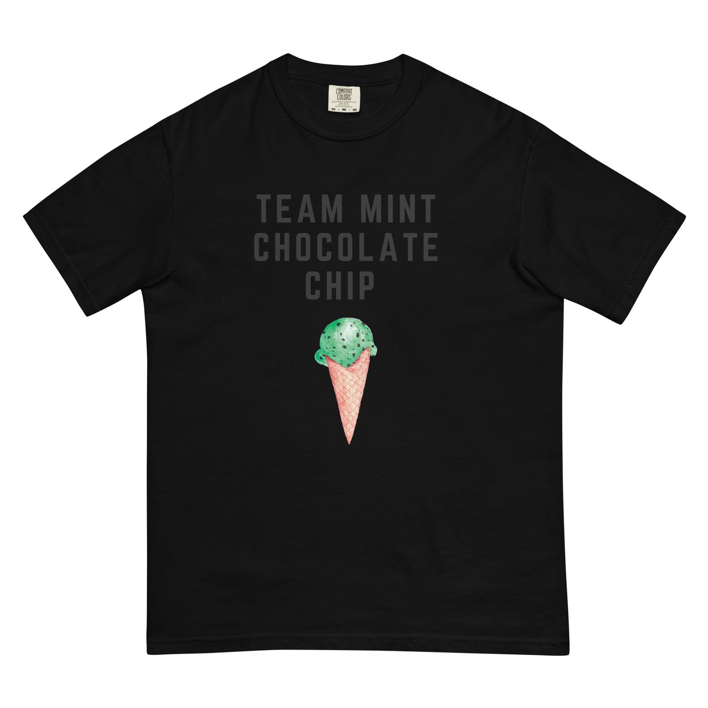 Team Mint Chocolate Chip t-shirt