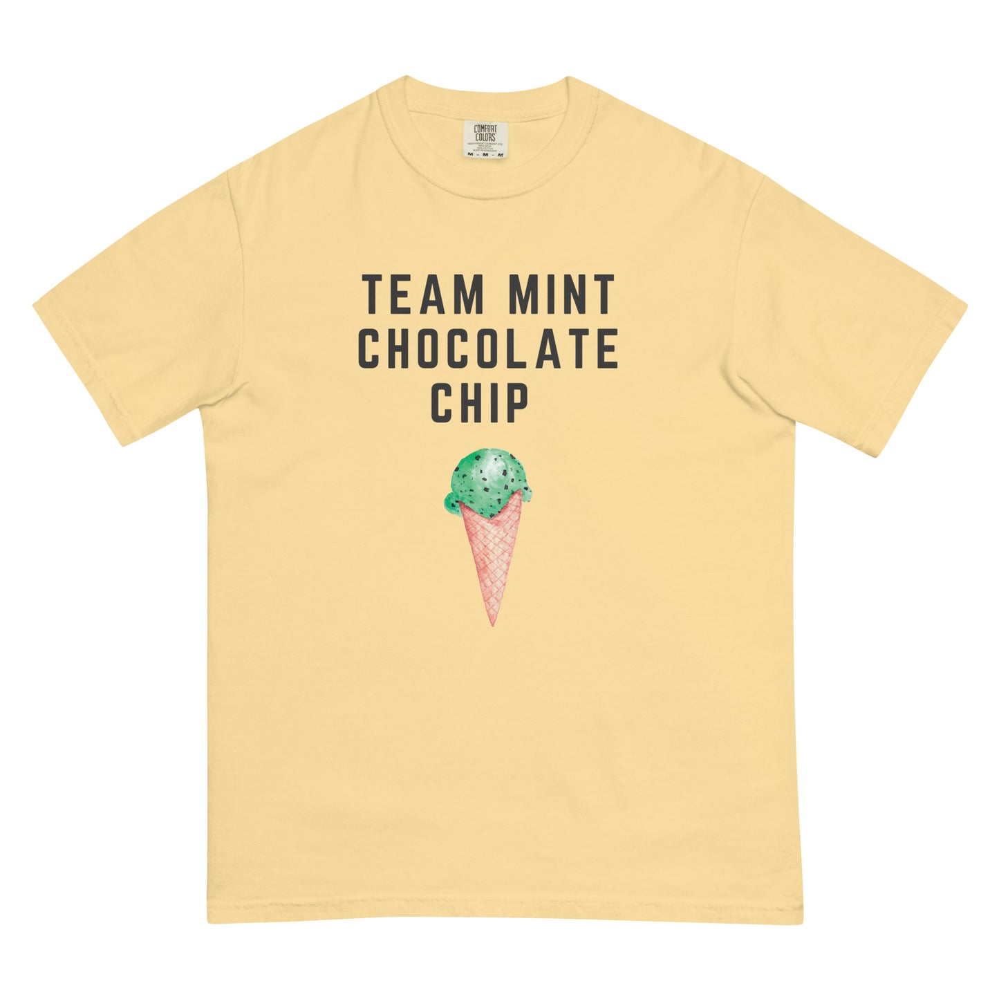 Team Mint Chocolate Chip t-shirt